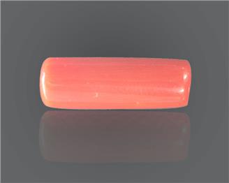 Natural Red Coral 8.83 RTS ( 30609 )